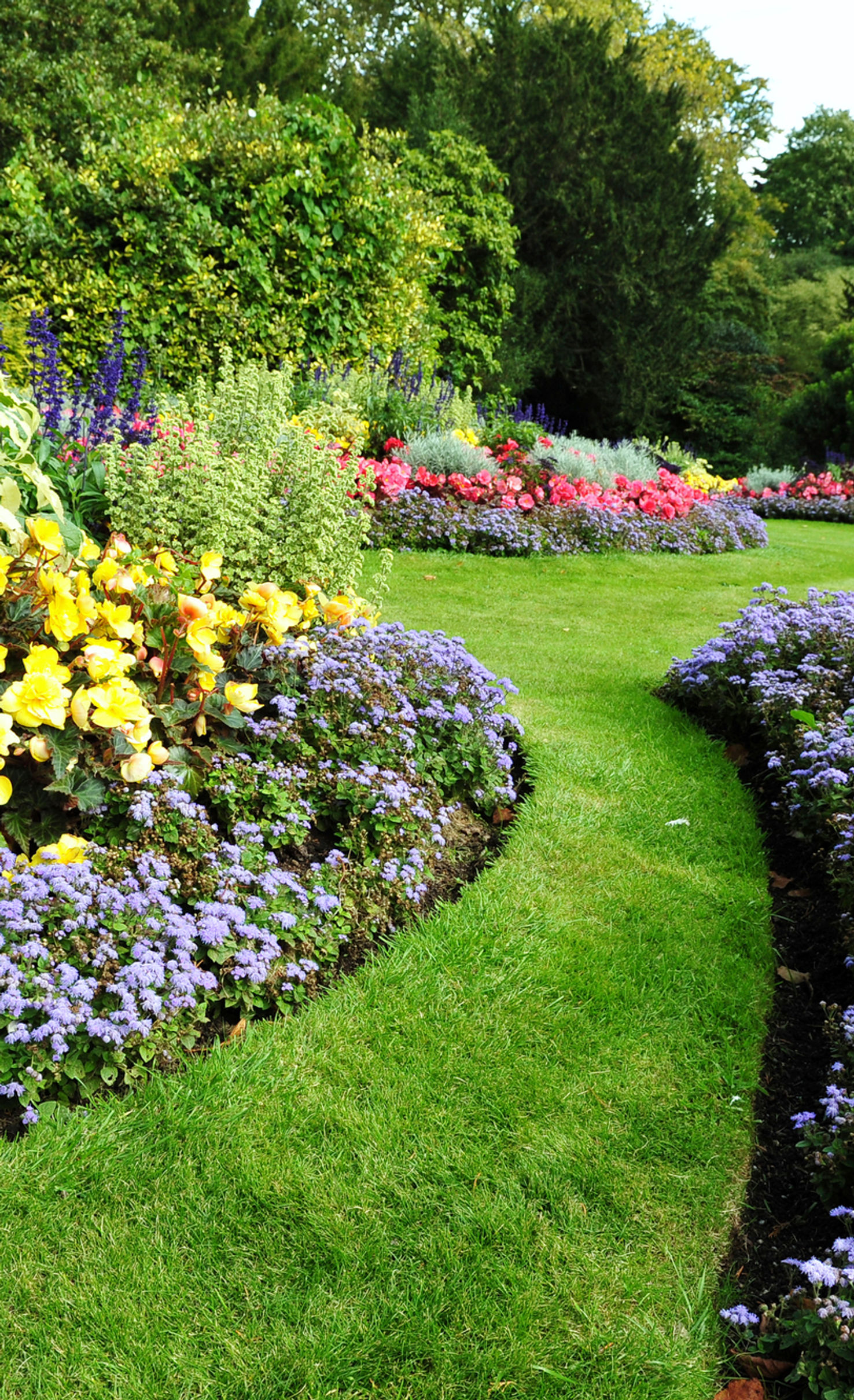 Beautiful garden with colorful flowers and winding grass path